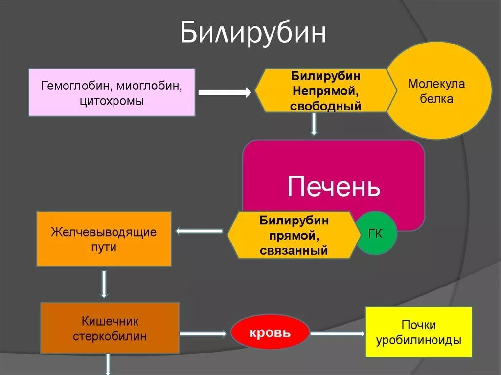 Билирубин. Прямой и непрямой билирубин биохимия. Что такое непрямой билирубин и непрямой билирубин. Поямой не поямой билирубин. Нермяой и прямой билирубин.