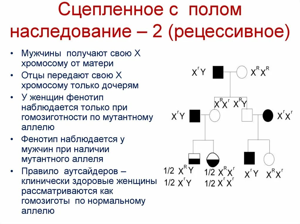 Символ рецессивного гена