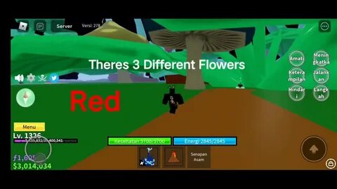 Blox fruit v2