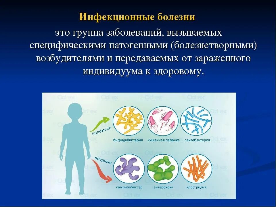 Причины возникновения инфекционных заболеваний схема. Инфекционные болезни и аллергия 3 класс. Презентация на тему инфекционные заболевания. Профилактика инфекционных болезней.