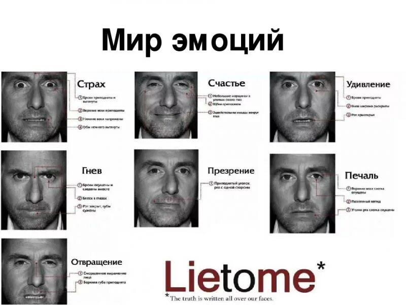 Психология обмани меня если сможешь. Пол экман обмани меня. пол экман микровыражения лица. тим рот мимика.
