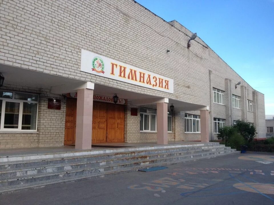 Логотип гимназии им н. Д. Гимназия н д лицмана. Гимназия тобольск. Лицмана.