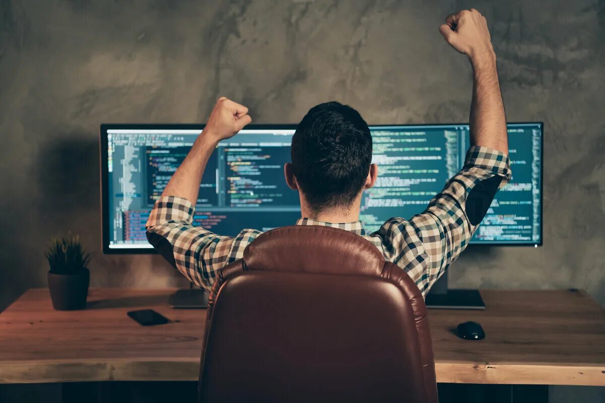 Developer работа