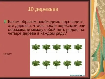 Высота березы 15м а рябины
