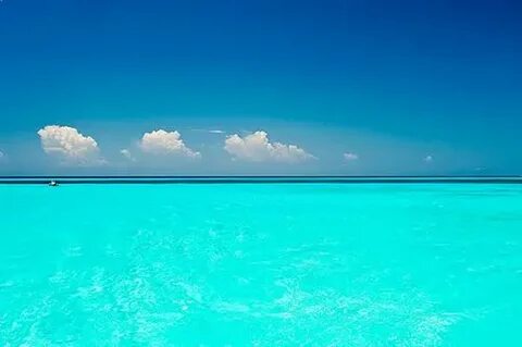 Blue seen
