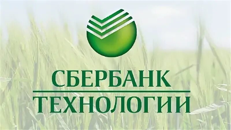 Сбер тех