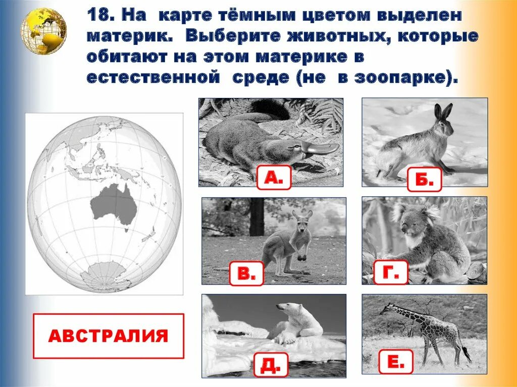 Животные по материкам 4 класс для ВПР. Материки ВПР. ВПР окружающий мир материки. Карта материков 4 класс окружающий мир ВПР. Впр окружающий мир карта с материками