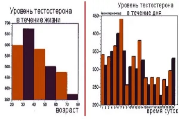 Общий уровень тестостерона. Уровень тестостерона. уровень тестостерона в разные эпохи. тестостерон мужчин в разные эпохи. уровни тестостерона от уровня вещества.
