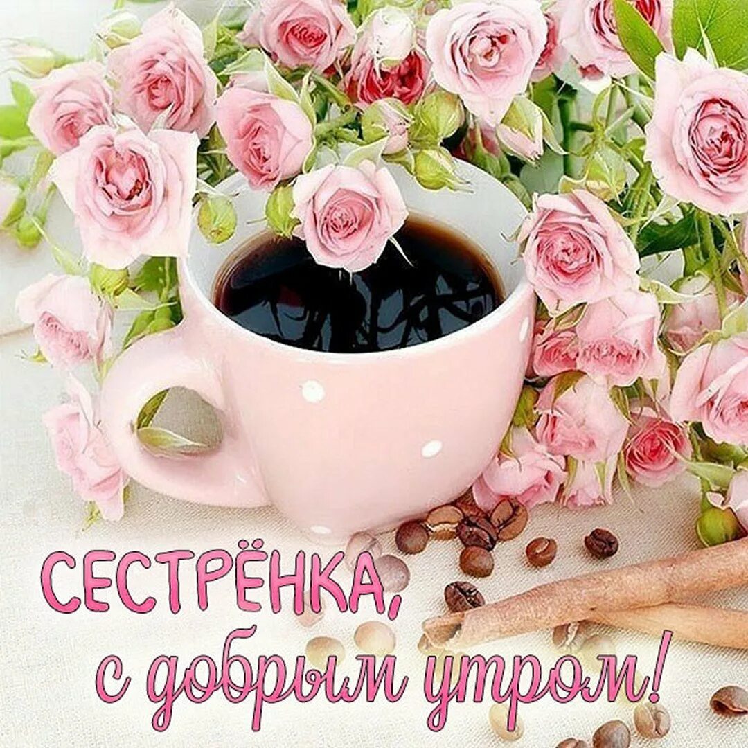 Открытки на все случаи доброе утро. Joslyn порноактриса из blackpatrol. красивые поздравления с добрым утром. доброго дня и хорошего настроения. пожелания с добрым. уа тром.