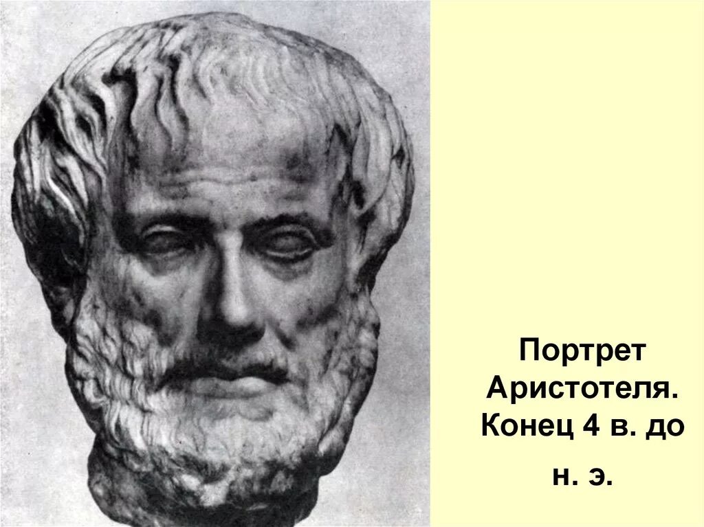 Портрет философа Аристотеля. Скульптурный портрет Аристотеля. Аристотель (3 век до н. э. ). Портрет Аристотеля мыслителя.