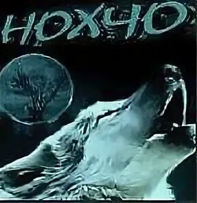 Собака нохча