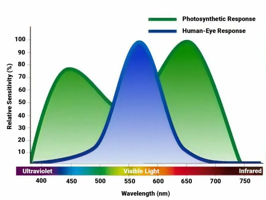 Human response. Human response