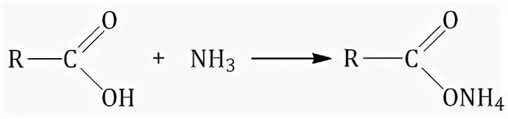 2 Метилбутановая кислота и аммиак. Взаимодействие карбоновых кислот с аммиаком. 2 Метилбутановая кислота и аммиак реакция. Карбоновые кислоты реагируют с аммиаком. Реакция аммиака с уксусной