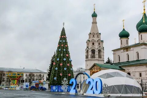 Елки ярославль