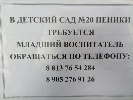 Расписание 691 ломоносов пеники