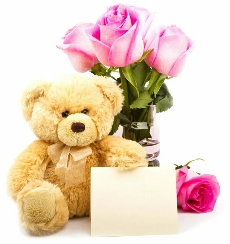 сорри сорри. злая леди баг. I am sorry. мишка с розами обои. Sorry for chat.