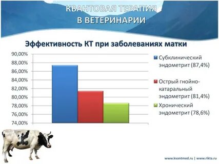 Роль ветеринарной службы
