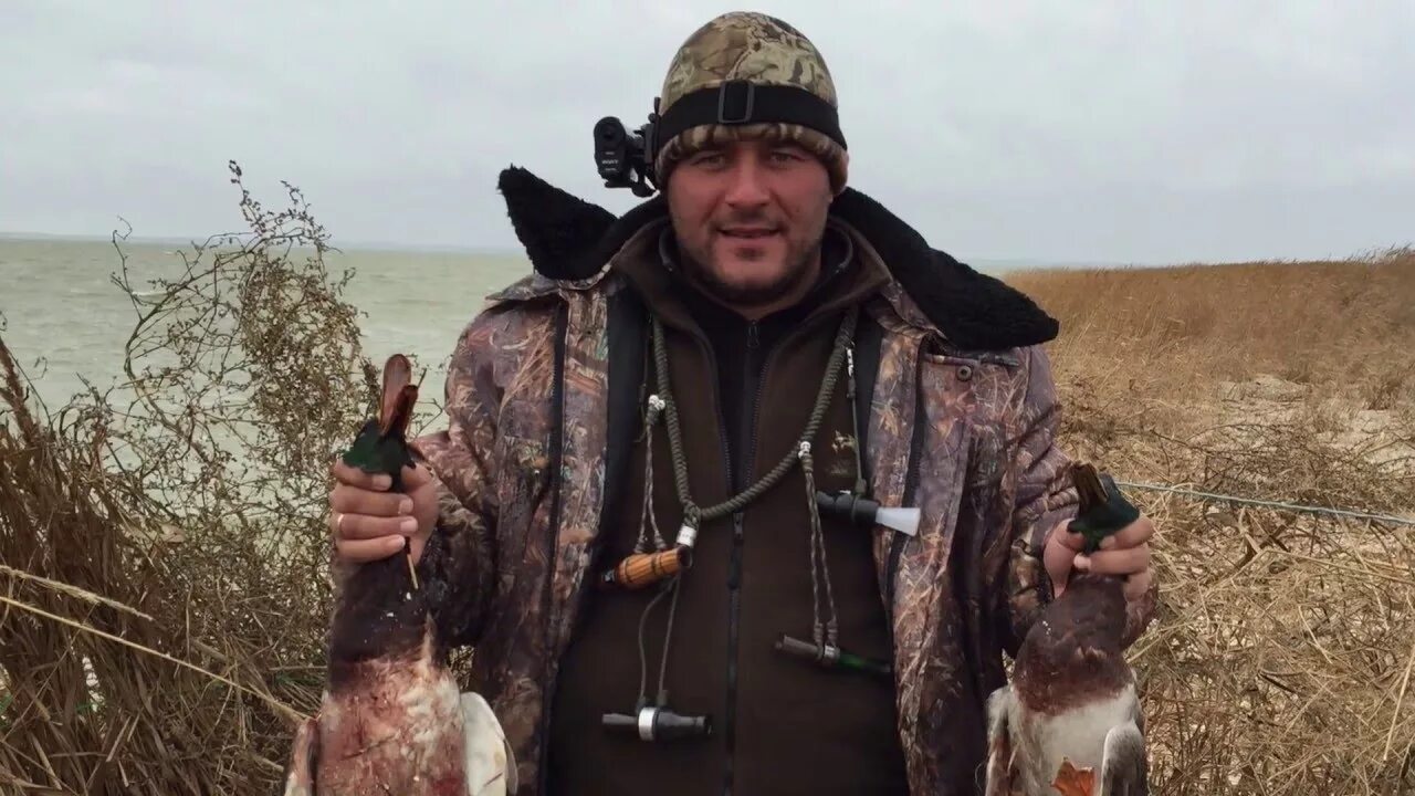 Охота в краснодарском. Охота на утку охотничьи базы. Трофейная охота в сибири. Тоховы в краснодарском крае. Охотовед.