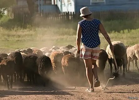 Сайт сельской жизни
