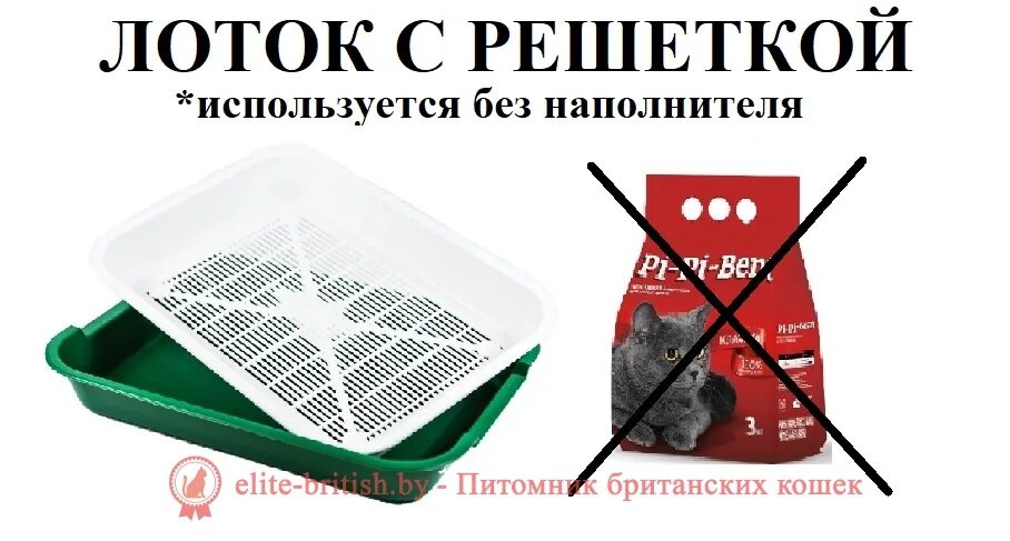 Как наполнить лоток с решеткой. Древесный наполнитель в лотке. кошачий лоток с решеткой. лотки для кошек без наполнителя. туалет для кошек с решеткой.