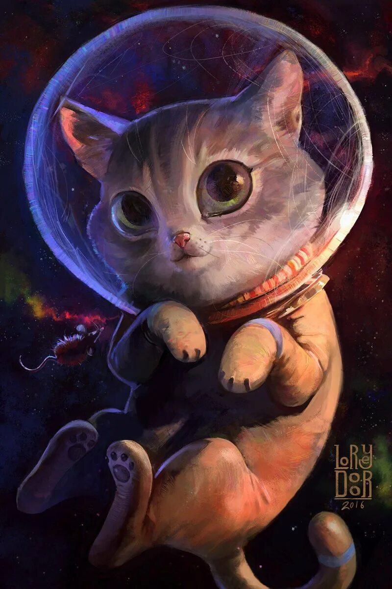 Космический кот. Кот в космосе. Котенок в космосе. Милые космические котики. Кот в космосе рисунок
