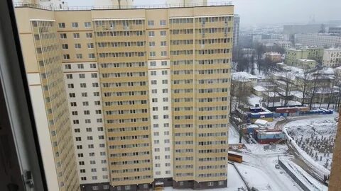 Невская звезда отзывы