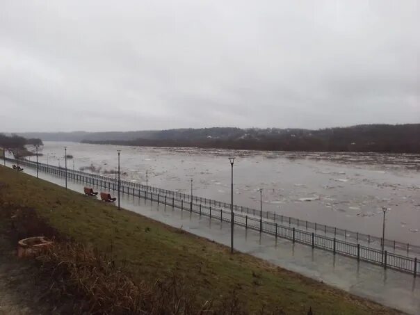 Река ока подъем уровня воды. Гидропост Ока Калуга. Разлив Оки в Калуге. Разлив Оки 2013 Лужки. Разлив Оки в Калуге 1970.