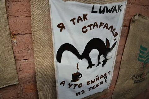 Живи копи