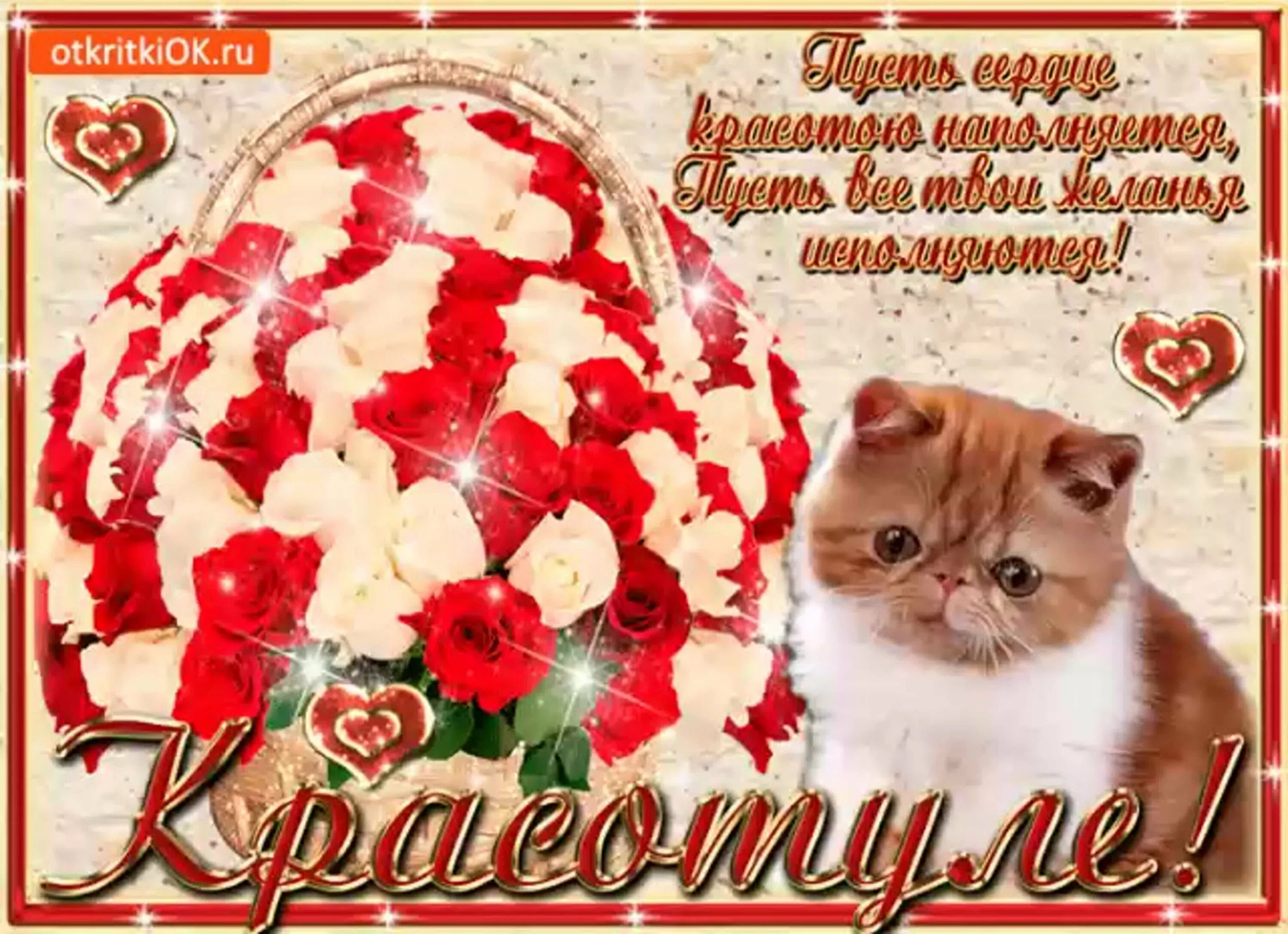 Цветы для самой прекрасной. Вы такая очаровательная. Вы такая очаровательная. Красивые комплименты девушке. Самой очаровательной девушке.