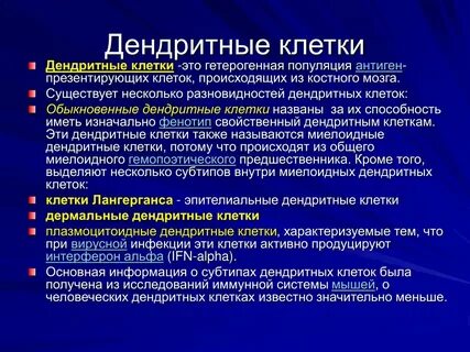 Дендритные иммунные клетки