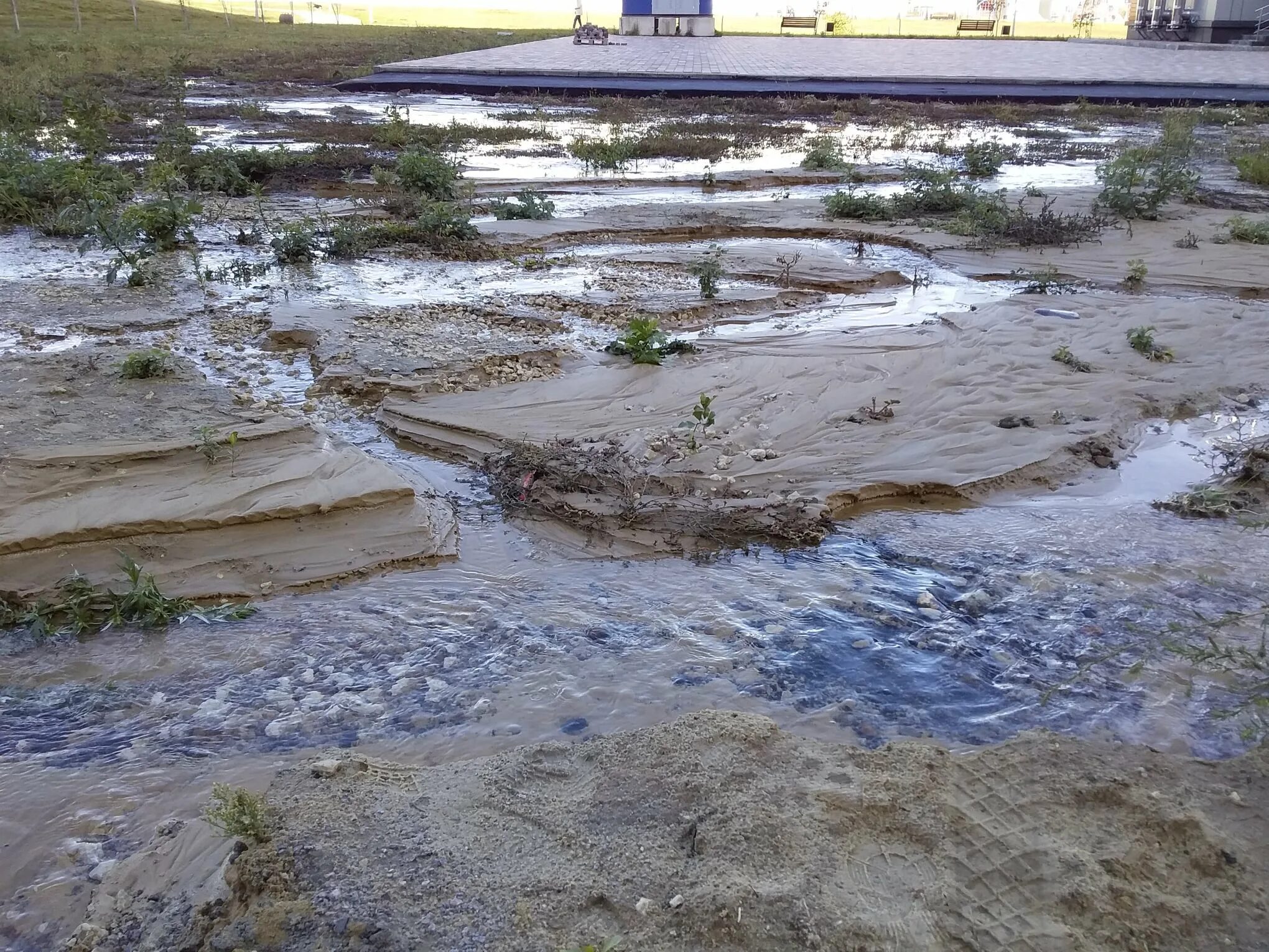 Аqкос залило водой. Ацкос залило водой. Залить водой. Луга залитые водой