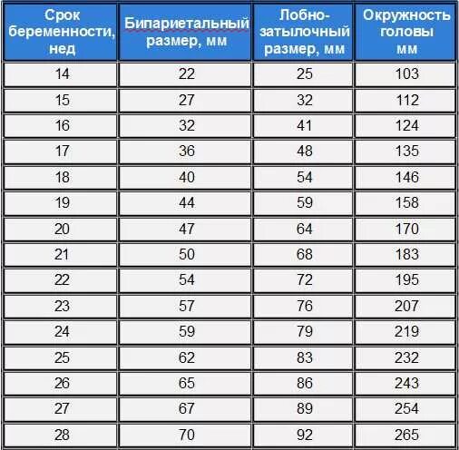 Беременность окружность головы. Бипариетальный размер головы на 34 неделе беременности. Бипариетальный диаметр в 13 недель норма. Размеры головки плода по неделям беременности таблица. Лобно-затылочный размер головки плода в 32 недели беременности норма.