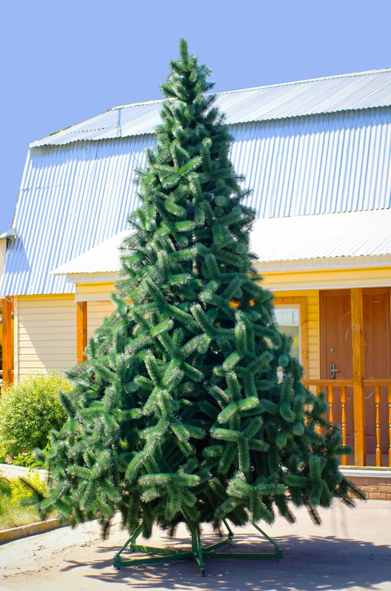 Елки 5 метров. Green Trees ель Рублевская 6.5. Green Trees ель Рублевская 5.5. Green Trees ель Рублевская 3. Сосна Рублевская.