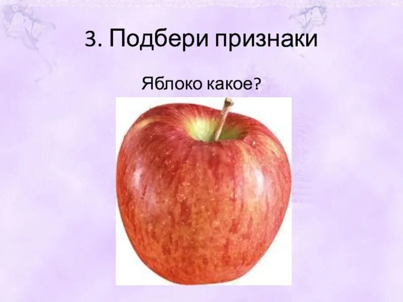 Яблоко какое имя прилагательное. Признаки яблока. Яблоки по величине. Признаки яблони признаки. Какой формы бывают яблоки.