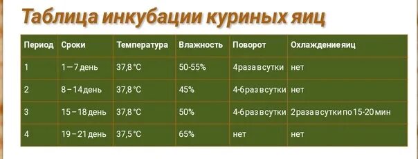 Температура хранения яиц для инкубации. Таблица инкубации. режим инкубации куриных яиц таблица. таблица для инкубатора. температура в инкубаторе для куриных яиц таблица.