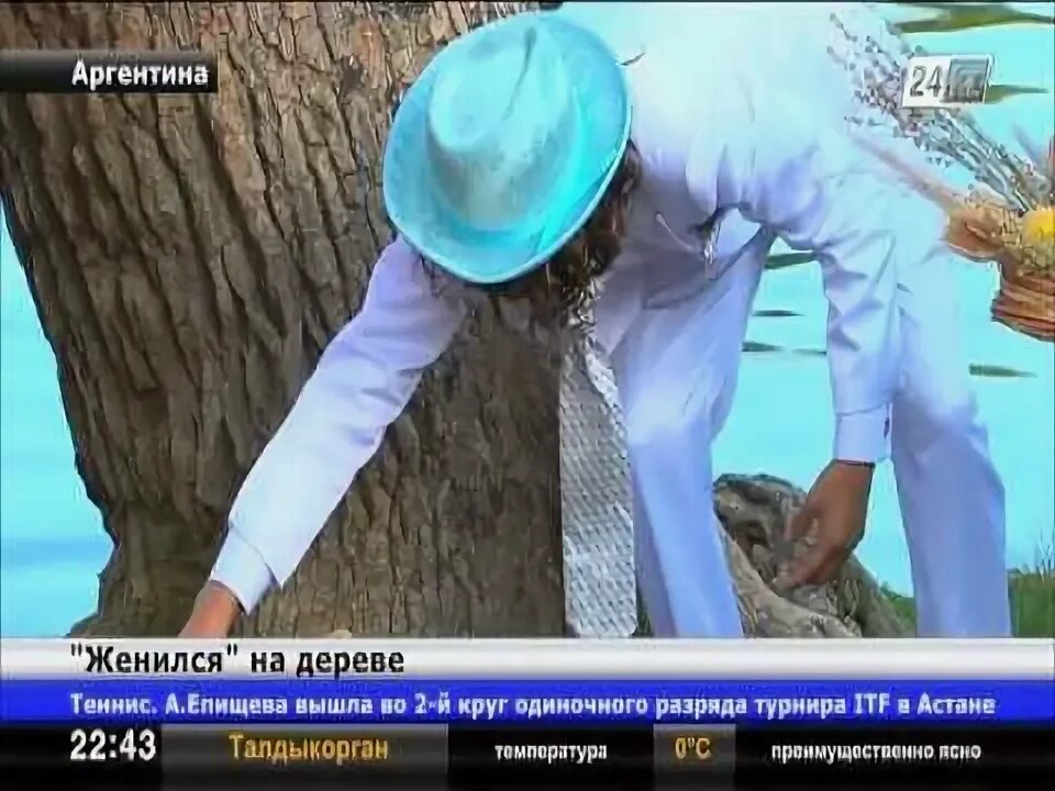 Выйти замуж за дерево индия. Женился на дереве. Дерево на свадьбу. Замуж за дерево. Свадьба с деревом в индии.