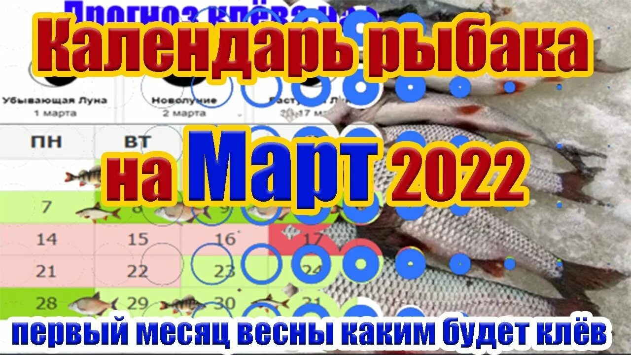 Лунный календарь клева рыбы на 2024 март. Календарь рыболова. Календарь рыболова 2022. Лунный календарь рыбака на март. Календарь клёва карася 2022.