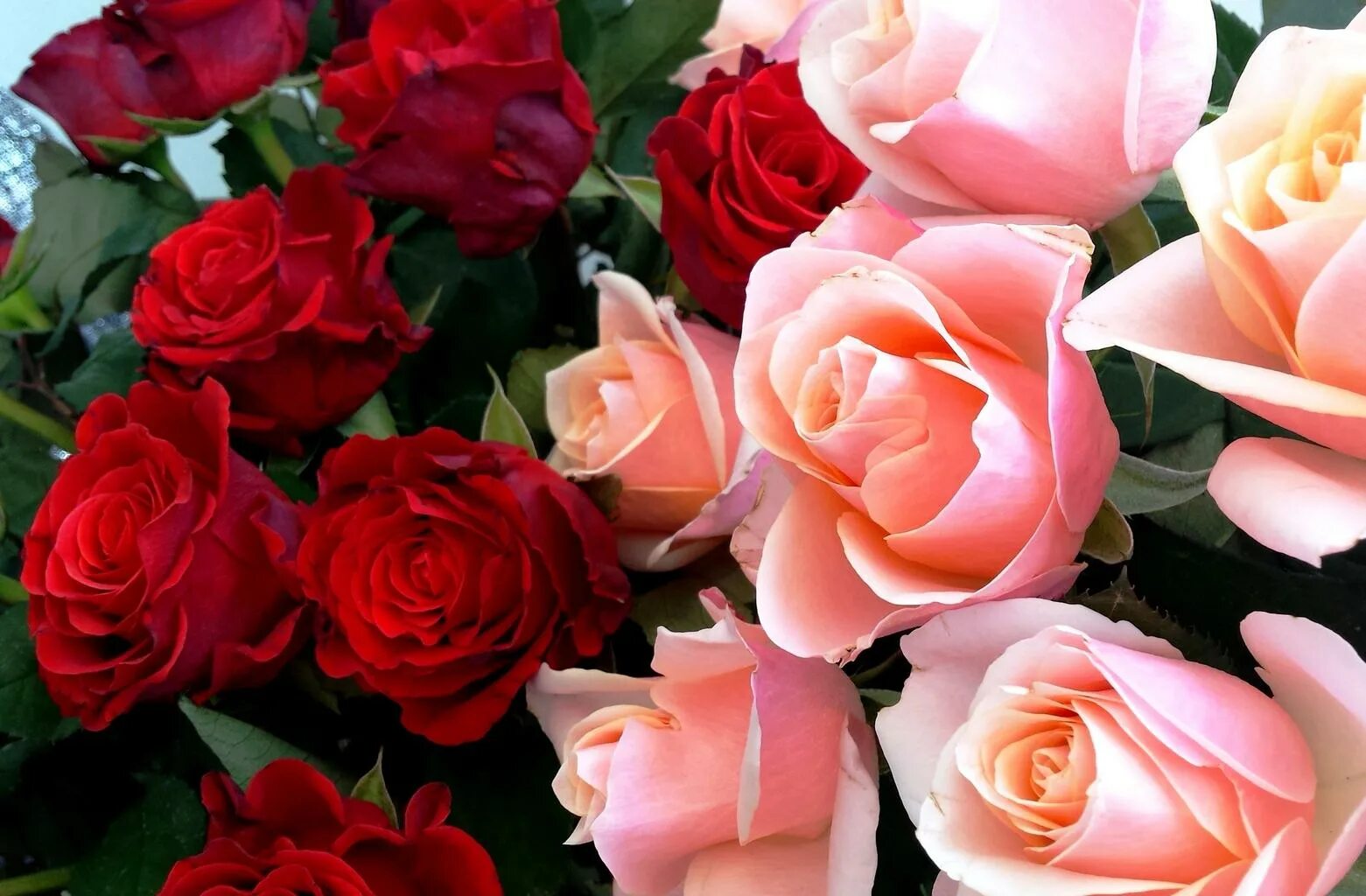 Видео открытка. С днём рождения розы. С юбилеем цветы. Шикарные розы с днем рождения. Цветы для дамы.