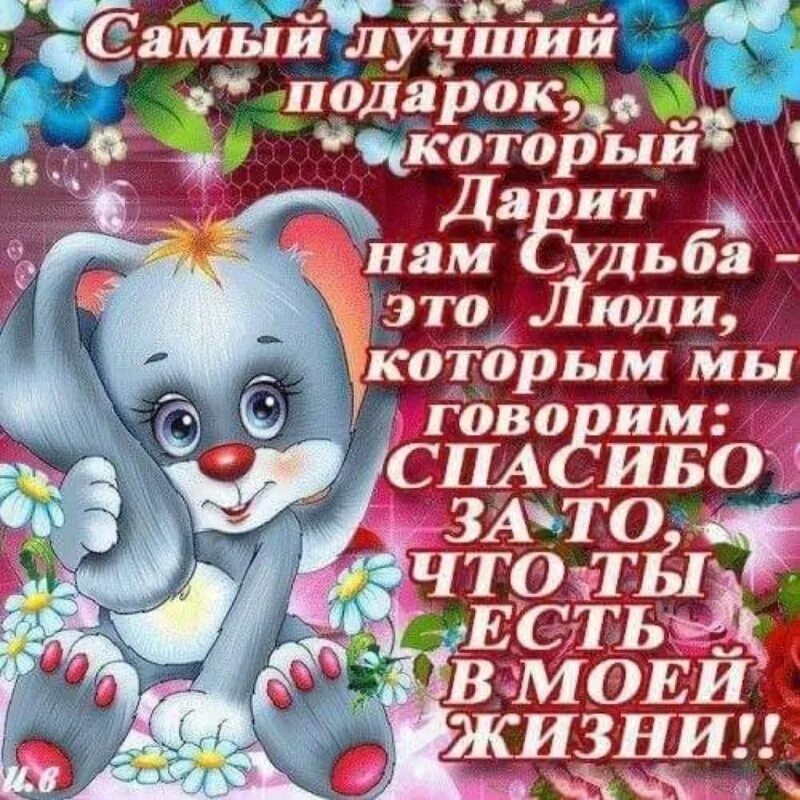 С дне спасибо