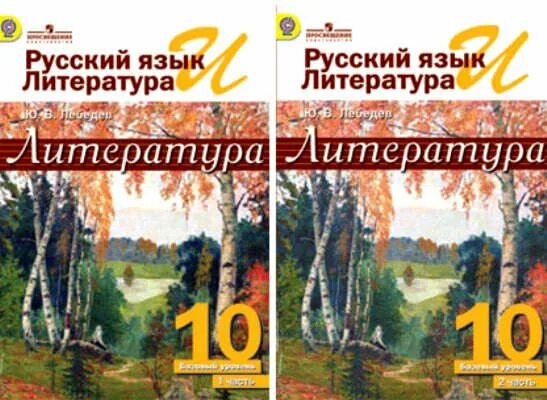 Литература 10 класс. 10 кл русский язык и литература. 10 кл русский язык и литература. Русский язык 11 класс учебник. Воителева т.