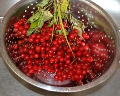 Как правильно приготовить калину от давления