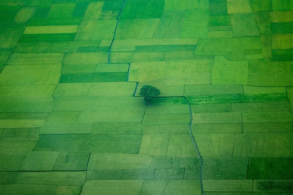 Плитка на пол. Для полов зеленый. Напольное покрытие трава. Линолеум зеленый. Зеленый пол.