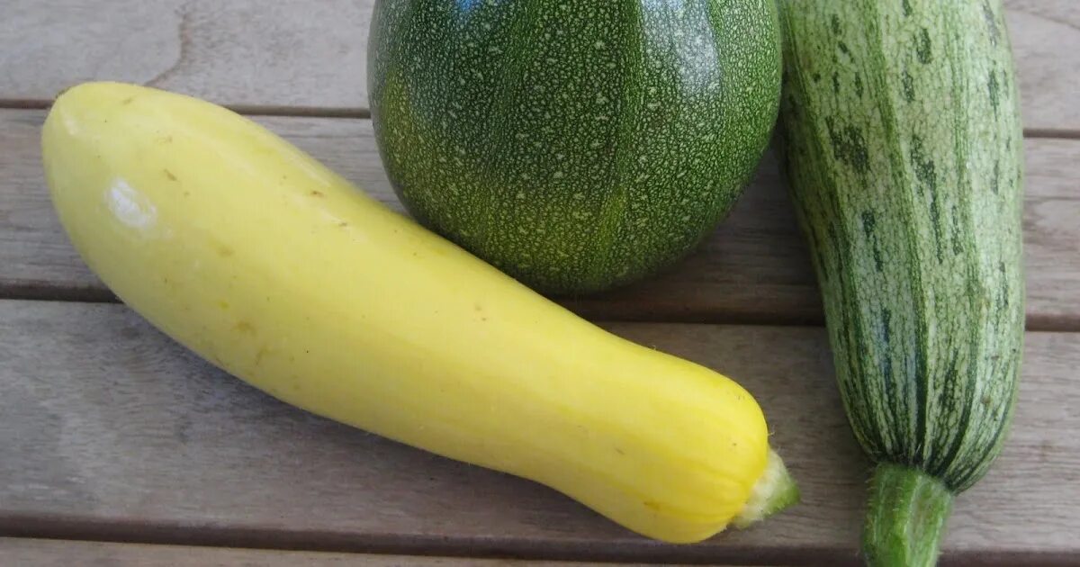 Сорта кабачков арал f1. Цукини сорта саката. Карделия кабачок. Кабачок 5 букв. Кабачок 5 букв.