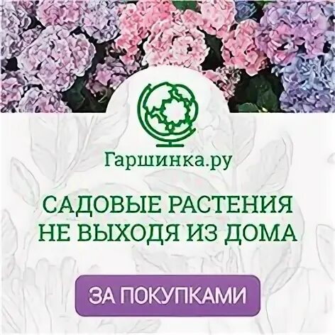 Сайт гаршинка. Gashinka. гаршинка интернет-магазин. гаршинка лого. питомник гаршинка.