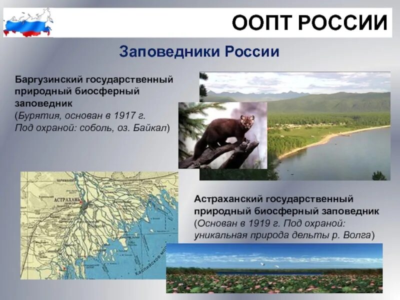 Названия биосферных заповедников. Особо охраняемые природные территории России. Охраняемые природные территории заказники. Особо охраняемые заповедники России. Особо охраняемые территории заповедники.