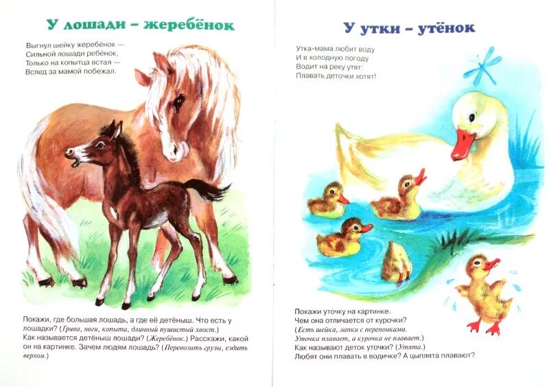 Домашнее животное рассказ для детей. Стихи про животных для детей. стихотворение про домашние животные для детей.