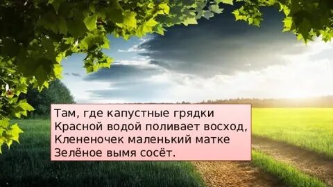 Стих там где
