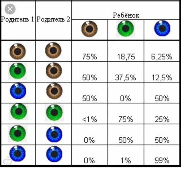 Сайт какой будет ребенок. Может ли у голубоглазых родителей родиться кареглазый. У кареглазых родителей родился голубоглазый ребенок. Цвет глаз родителей и детей таблица. У голубоглазых родителей кареглазый ребенок.