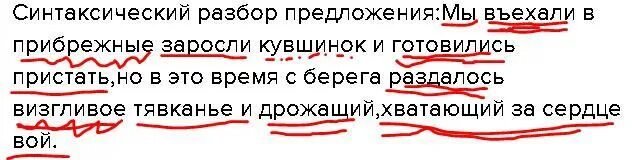 Синтаксический разбор мы въехали в прибрежные. Синтаксический разбор предложения густых зарослей. Мы въехали в прибрежные. Синтаксический разбор кувшинок. Опускался вечер через прибрежные заросли впр 7