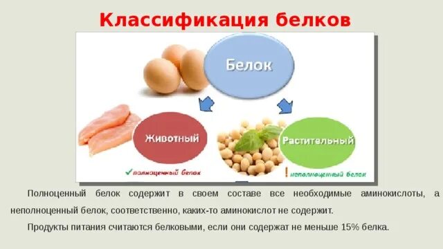 Чем отличаются белки. Полноценный белок. Полноценные и неполноценные белки. Растительный и животный белок. Неполноценные белки продукты.